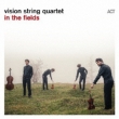 Vision Sq: In The Fields (Vinyl)