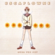 Tenkuu No Escaflowne Original Soundtrack