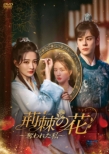 �t�������΂灄�̉ԁ`�D��ꂽ���` DVD-BOX2