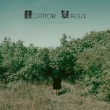 Horror Vacui