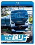 E257 Kei Tokkyuu Odoriko Tokyo-Ito-Izukyushimoda