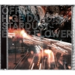 Stardust/Elder Flower