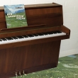 Sophtware Slump .....On A Wooden Piano (Eco Mix Citrus Yellow Vinyl)