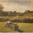 Ghosts In The Park