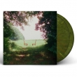 Singin' To An Empty Chair (Green / Brown Vinyl)