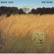 Big Game (Metallic Silver Vinyl)