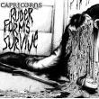 Ruder Forms Survive