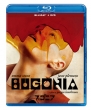 Bugonia