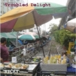 Troubled Delight