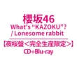 What`s `kazoku`?/Lonesome Rabbit