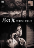 Terang Boelan