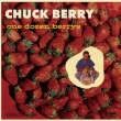 One Dozen Berrys