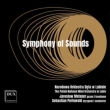 Symphony of Sounds : Perlowski / Lubin Polish National Wind Orchestra