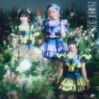 ���ߑ������y���񐶎Y����Ձ�Type-C���z(CD+DVD)