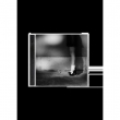 petal CD (exclusive lenticular cover)