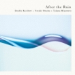 After The Rain / After The Rain