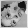 petal (�W���p���E�f���b�N�X�E�G�f�B�V����)�y����Ձz