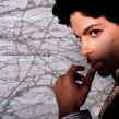 Musicology(2���g�A�i���O���R�[�h)