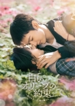 �����I���[�u�̖񑩁`�����������ƁA�N�ׂ̗Ł` DVD-BOX2