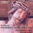 Membra Jesu Nostri: ؉떾m.suzuki / Bach Collegium Japan