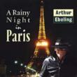 Rainy Night In Paris