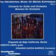 Orchestral Music Vol.3: V / A