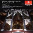 Complete Organ Works Vol.2: Payne