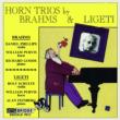 Horn Trio: Purvis(Hr)Phillips(Vn)Goode(P)Schulte(Vn)Feinberg(P)