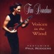 Voices In The Wind