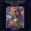 ブルックナー：弦楽五重奏曲、シェーンベルク：浄夜(弦楽合奏版)ツァグロゼク＆バンベルク交響楽団(１９９３)