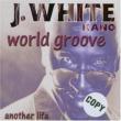 World Groove (2 Tracks)