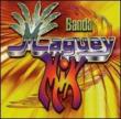 Banda Maguey Mix