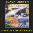 Diary Of A Blind Angel