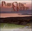 Pure Celtic Moods