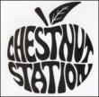 Chestnut Station