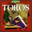 Estelares De Toros Band