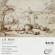 Partitas Nos.2, 4, 6, etc.: Konstantin Lifschitz, Paul Maillet, Piotr Anderszewski, Sean Duggan(P)(2CD)