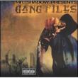 Gang Files