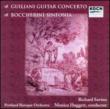 Guitar Concerto: Saviano(G)huggett / Portland.o