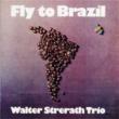 Fly To Brazil