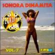 Pegaditas Vol.7