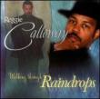 Walking Through Raindrops