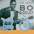 Great Bo Diddley