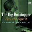 Feel The Spirit -A Tibute Tomahalia