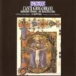 Canti Gregoriani-adorate Deum: Schola Gregoriana Scriptoria