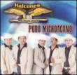 Puro Michoacano