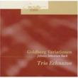 (String Trio)goldberg Variations: Trio Echnaton