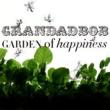Garden Of Happiness