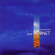 Blue Hornet: A.bottcher(Vibraphone, P, Marimba)
