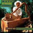 Maya K' ekchi Strings